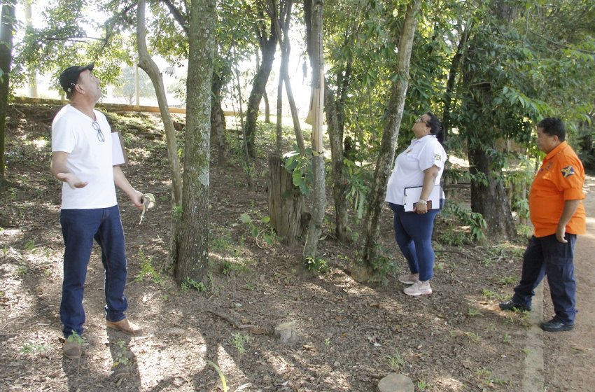 PREFEITURA DE JAGUARIÚNA INTENSIFICA VISTORIA DE ÁRVORES EM PARQUES PÚBLICOS