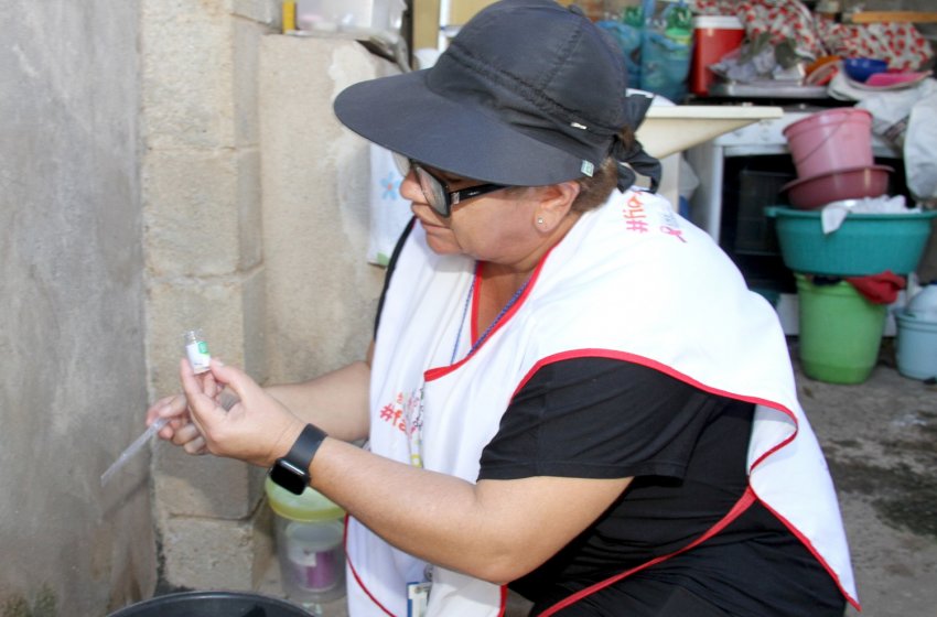 ARRASTÃO DA DENGUE CHEGA EM MAIS TRÊS BAIRROS NESTE SÁBADO