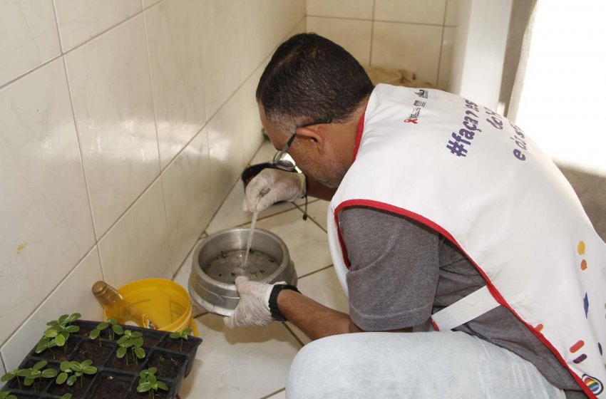 SAÚDE VISITA 635 IMÓVEIS EM NOVO MUTIRÃO CONTRA A DENGUE