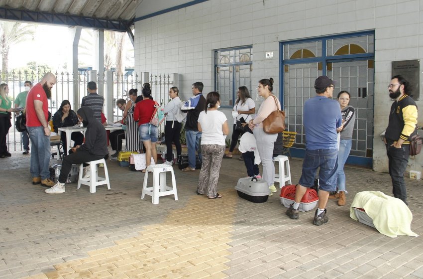 PREFEITURA DE JAGUARIÚNA PROMOVE NOVO MUTIRÃO DE CASTRAÇÕES E MICROCHIPAGEM DE ANIMAIS NESTA SEXTA