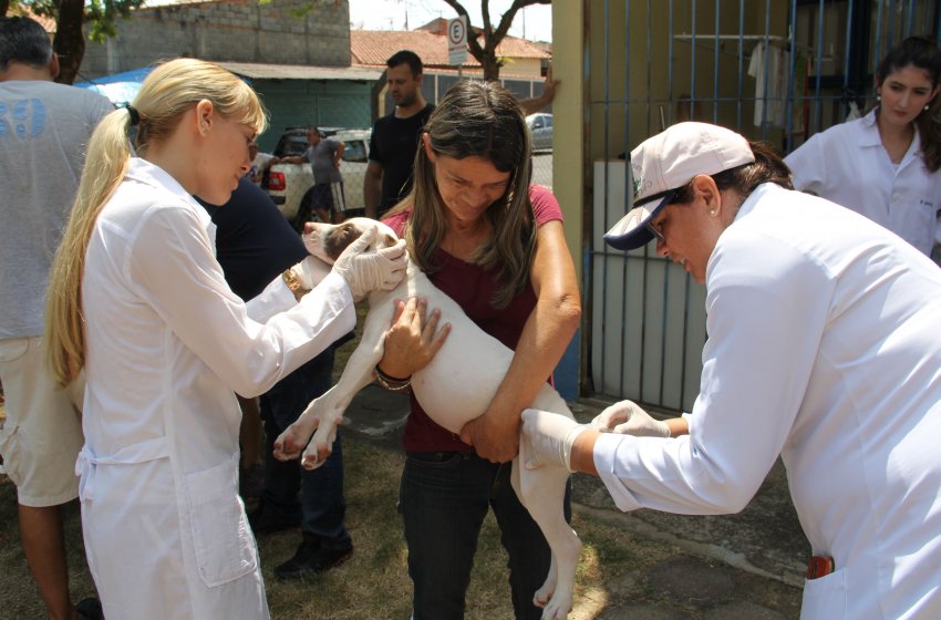 SÁBADO TEM EVENTO PARA OS PETS E VACINAÇÃO GRATUITA ANTI-RÁBICA NO PARQUE SERRA DOURADA
