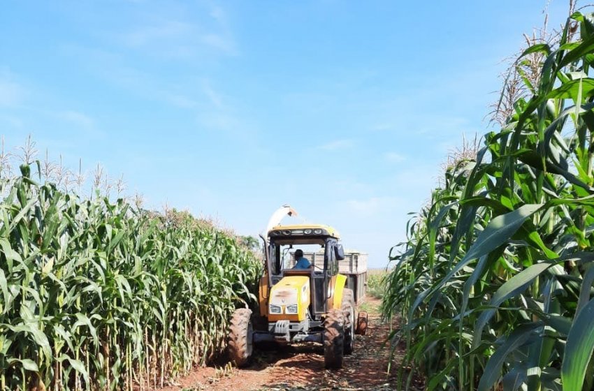 PROGRAMA PATRULHA AGRÍCOLA APOIA PEQUENOS PRODUTORES RURAIS DE JAGUARIÚNA