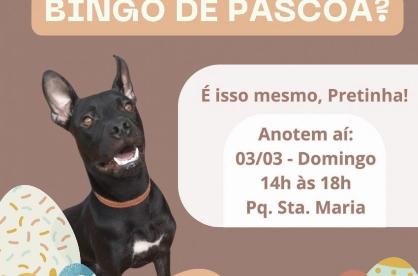 ONG XODÓ DE BICHO REALIZA BINGO DE PÁSCOA NESTE DOMINGO NO PARQUE SANTA MARIA