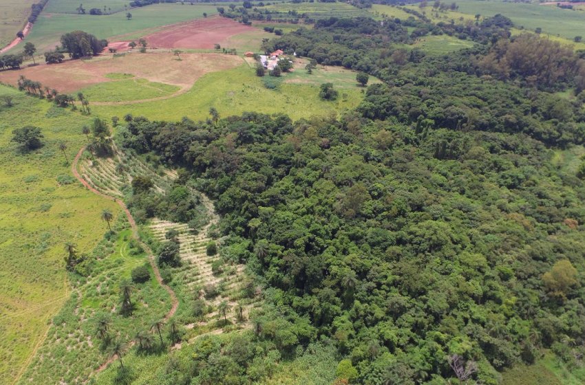 Jaguariúna dobra vegetação nativa, segundo Inventário Florestal do Estado