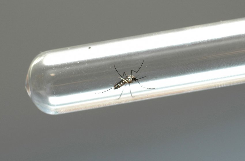 JAGUARIÚNA REGISTRA QUEDA DE 70% NO NÚMERO DE CASOS DE DENGUE NESTE ANO