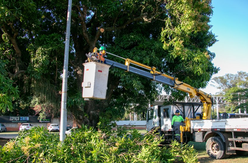 PREFEITURA REALIZA SERVIÇOS DE PODA DE ÁRVORES NESTA TERÇA