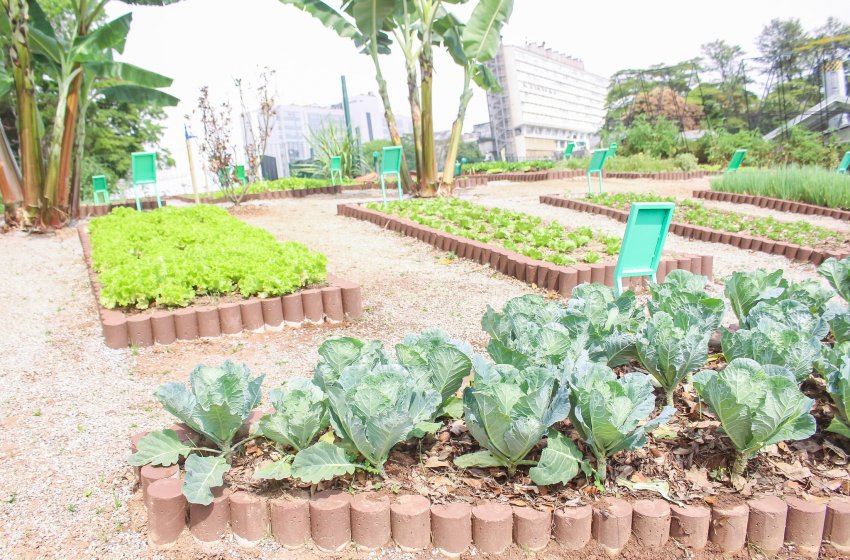   DEPARTAMENTO DE AGROPECUÁRIA ORIENTA SOBRE RASTREABILIDADE DE VEGETAIS FRESCOS