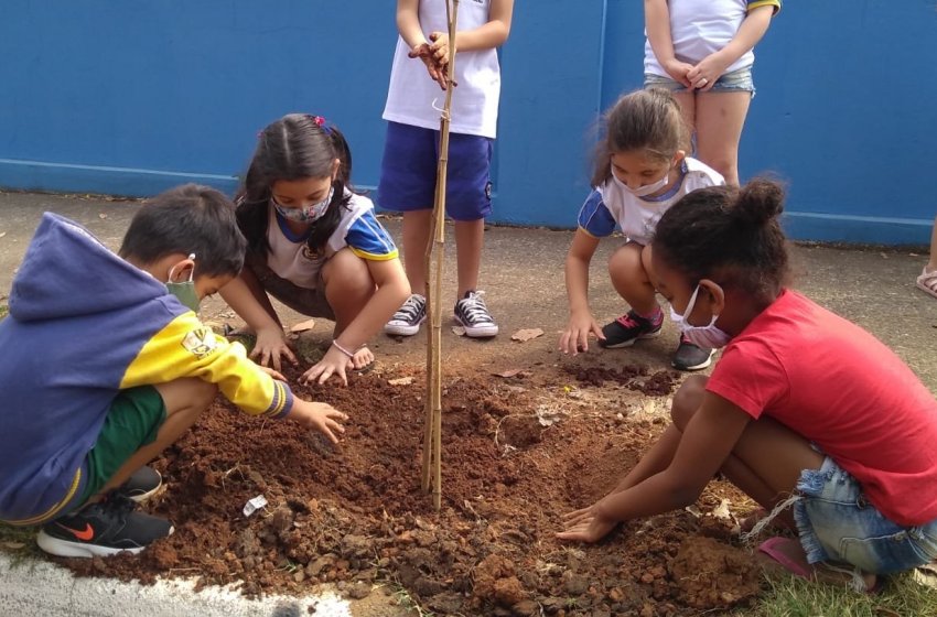DIA DA ÁRVORE É COMEMORADO COM PLANTIO DE MUDAS EM JAGUARIÚNA