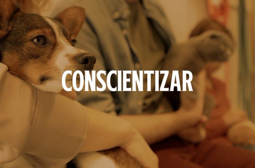 NÃO SEJA UM HOMEM SEM ALMA E CORAÇÃO. DENUNCIE!